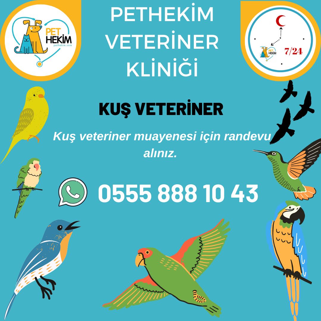Kuş Veteriner Kliniği | Pethekim