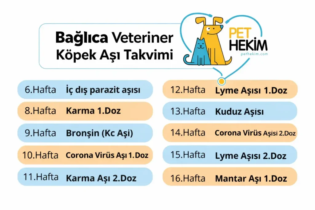 Köpeklerde Aşı Takvimi