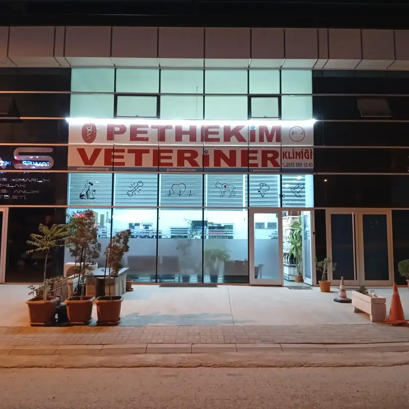 Etimesgut Veteriner Kliniği