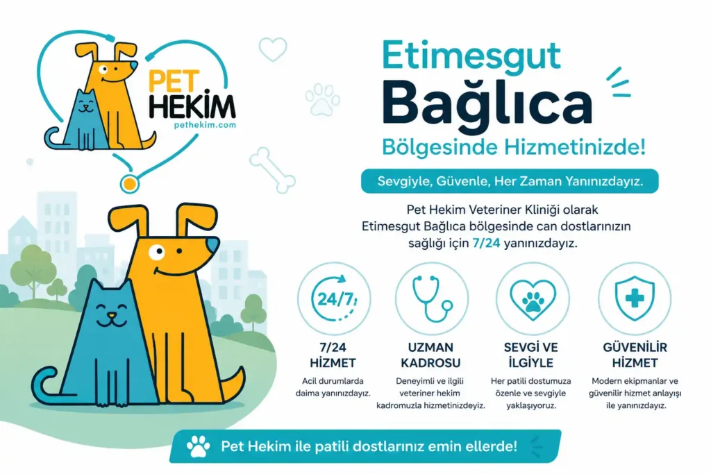 Bağlıca Veteriner