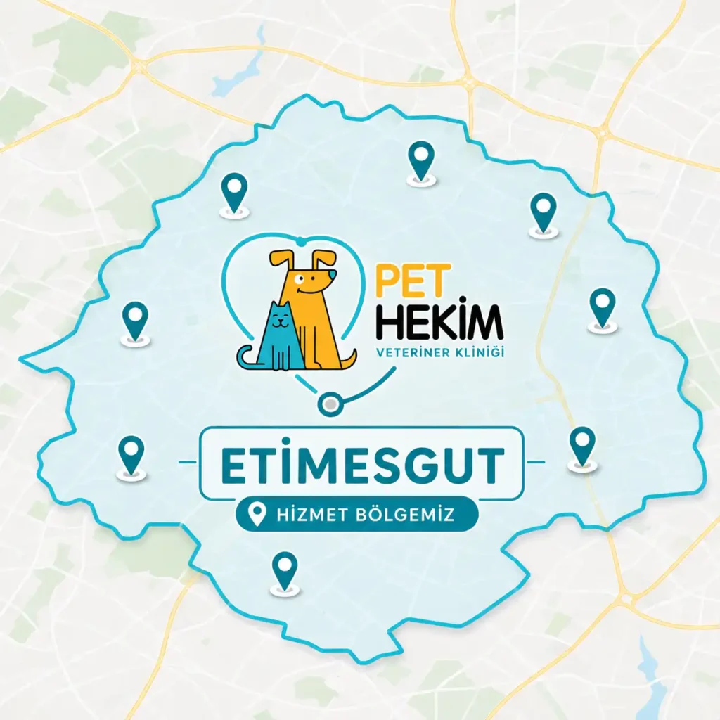 Pethekim Etimesgut veteriner kliniği
